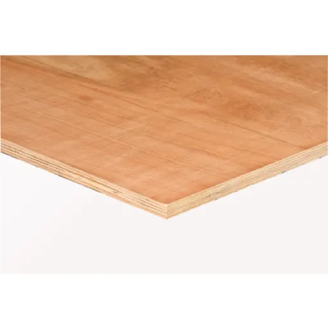 Hardwood Plywood Poplar Core FSC 2440 x 1220 x 12mm